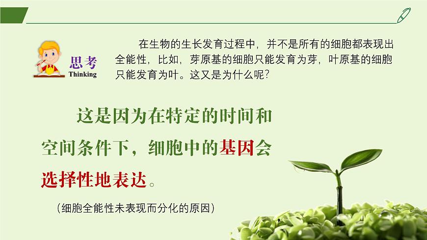 2024-2025學(xué)年高中生物同步備課課件(人教版2019)選擇性必修三2-1-1植物細(xì)胞工程的基本技術(shù)第6頁(yè)