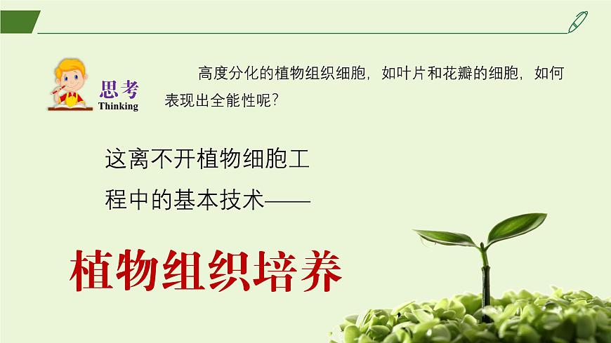 2024-2025學(xué)年高中生物同步備課課件(人教版2019)選擇性必修三2-1-1植物細(xì)胞工程的基本技術(shù)第7頁(yè)
