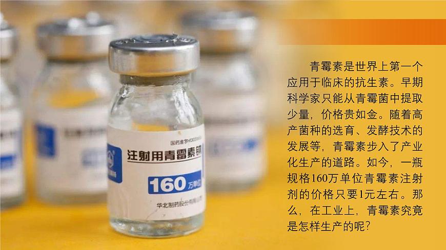 2024-2025學(xué)年高中生物同步備課課件（人教版2019）選擇性必修三1-3發(fā)酵工程及其應(yīng)用第2頁