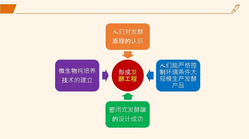 2024-2025學(xué)年高中生物同步備課課件（人教版2019）選擇性必修三1-3發(fā)酵工程及其應(yīng)用第3頁