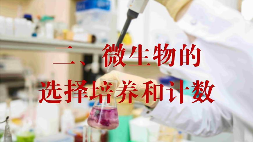 2024-2025學(xué)年高中生物同步備課課件（人教版2019）選擇性必修三1-2-2微生物的選擇培養(yǎng)和計(jì)數(shù)第2頁(yè)