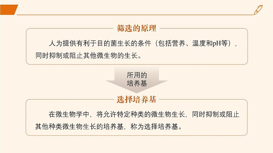 2024-2025學(xué)年高中生物同步備課課件（人教版2019）選擇性必修三1-2-2微生物的選擇培養(yǎng)和計(jì)數(shù)第5頁(yè)