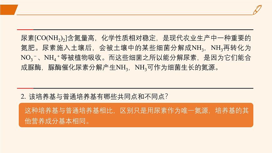 2024-2025學(xué)年高中生物同步備課課件（人教版2019）選擇性必修三1-2-2微生物的選擇培養(yǎng)和計(jì)數(shù)第7頁(yè)
