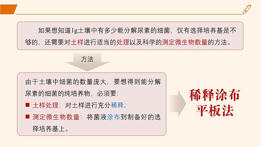 2024-2025學(xué)年高中生物同步備課課件（人教版2019）選擇性必修三1-2-2微生物的選擇培養(yǎng)和計(jì)數(shù)第8頁(yè)