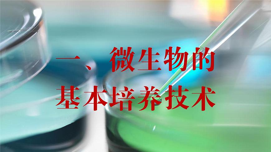 2024-2025學(xué)年高中生物同步備課課件（人教版2019）選擇性必修三1-2-1微生物的基本培養(yǎng)技術(shù)第3頁