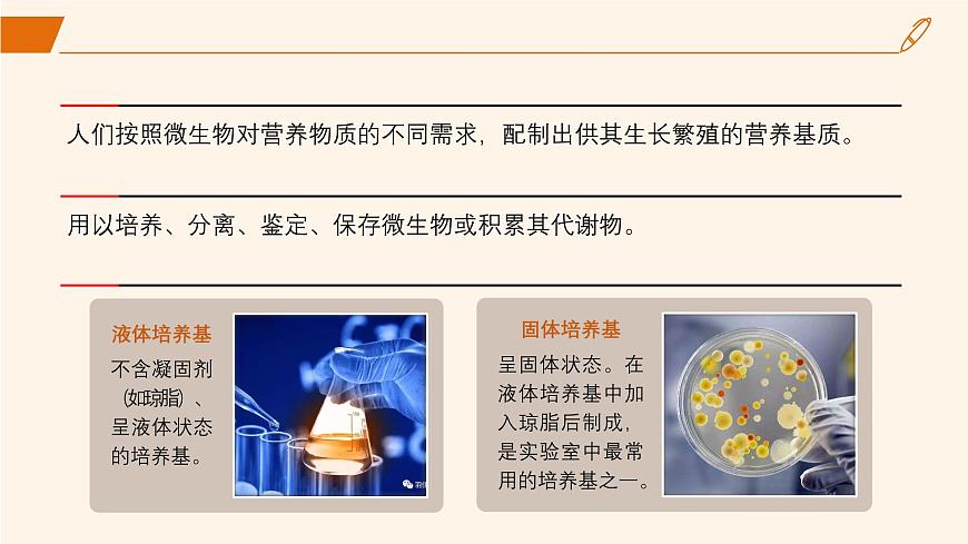 2024-2025學(xué)年高中生物同步備課課件（人教版2019）選擇性必修三1-2-1微生物的基本培養(yǎng)技術(shù)第5頁