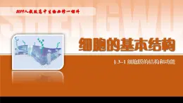 2024-2025学年高中生物同步备课课件（人教版2019）必修一3-1细胞膜的结构和功能