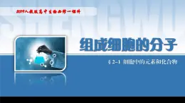 2024-2025学年高中生物同步备课课件（人教版2019）必修一2-1细胞中的元素和化合物