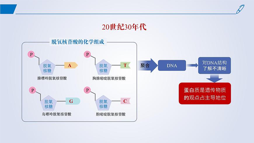 2024-2025學(xué)年高中生物同步備課課件(人教版2019)必修二3-1DNA是主要的遺傳物質(zhì)第4頁