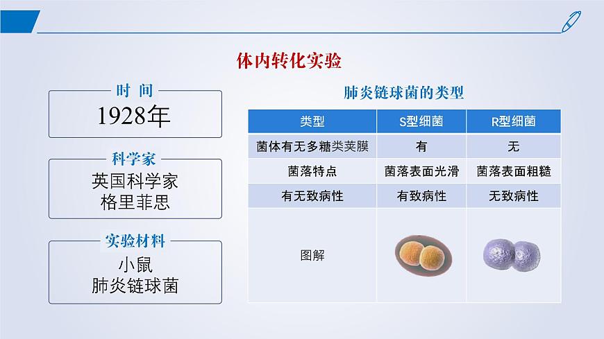 2024-2025學(xué)年高中生物同步備課課件(人教版2019)必修二3-1DNA是主要的遺傳物質(zhì)第5頁