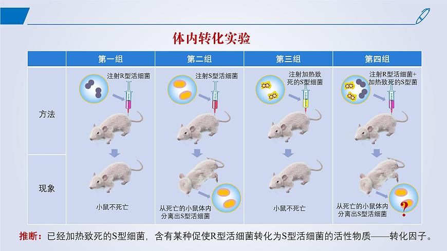 2024-2025學(xué)年高中生物同步備課課件(人教版2019)必修二3-1DNA是主要的遺傳物質(zhì)第6頁