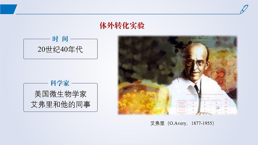 2024-2025學(xué)年高中生物同步備課課件(人教版2019)必修二3-1DNA是主要的遺傳物質(zhì)第8頁