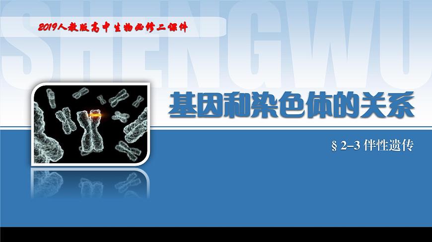 2024-2025學(xué)年高中生物同步備課課件(人教版2019)必修二2-3伴性遺傳第1頁