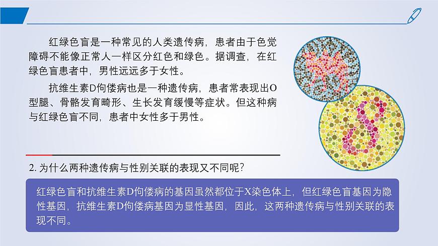 2024-2025學(xué)年高中生物同步備課課件(人教版2019)必修二2-3伴性遺傳第3頁