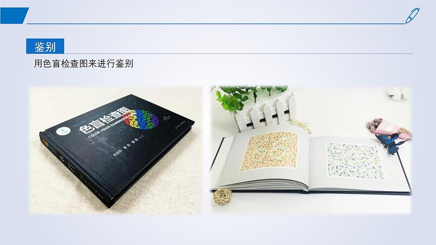 2024-2025學(xué)年高中生物同步備課課件(人教版2019)必修二2-3伴性遺傳第8頁
