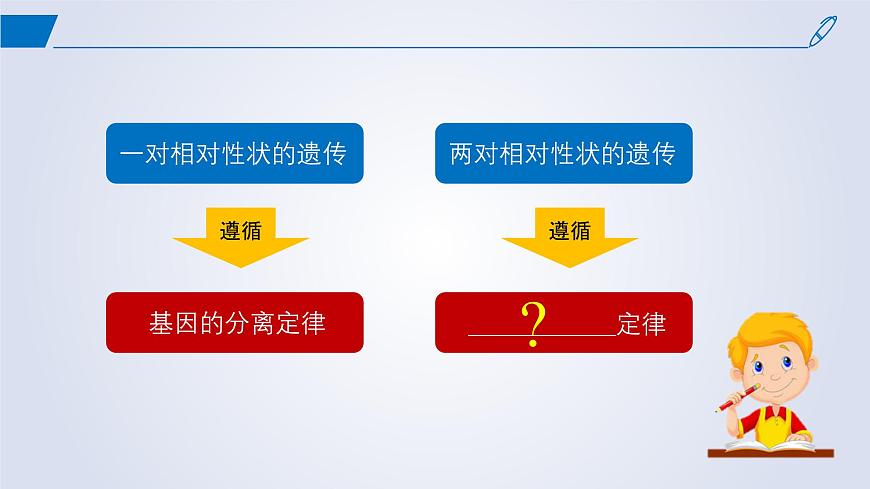 2024-2025學(xué)年高中生物同步備課課件(人教版2019)必修二1-2孟德爾的豌豆雜交實(shí)驗(yàn)(二)第3頁
