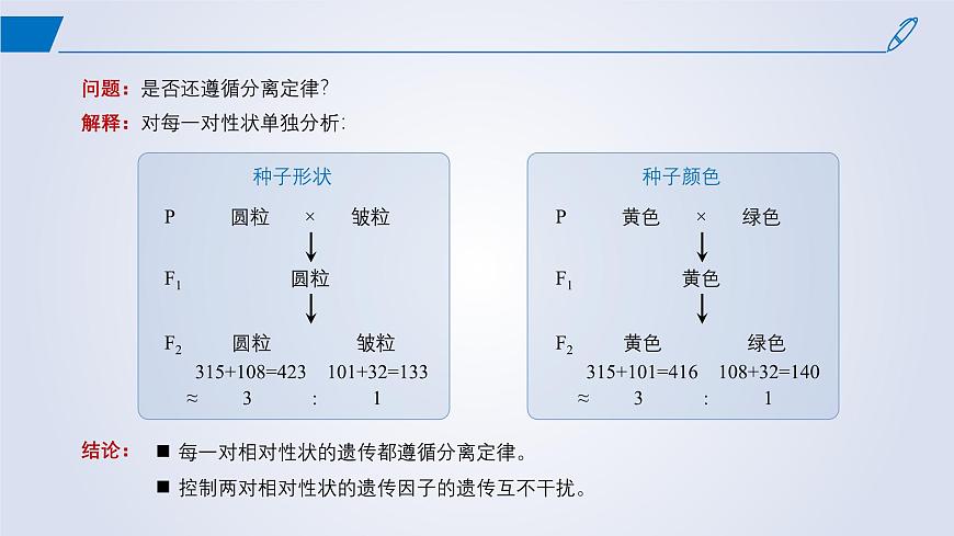 2024-2025學(xué)年高中生物同步備課課件(人教版2019)必修二1-2孟德爾的豌豆雜交實(shí)驗(yàn)(二)第6頁