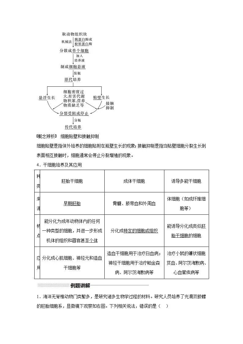 高中生物实战高考一轮复习第40讲动物细胞工程试题含答案第2页