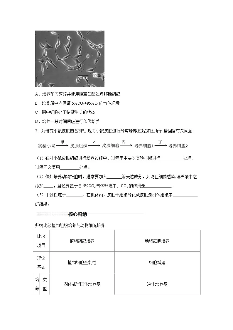 高中生物实战高考一轮复习第40讲动物细胞工程试题含答案第3页