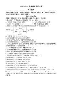 甘肃省兰州第一中学2024-2025学年高二上学期期末考试生物试卷(Word版附答案)