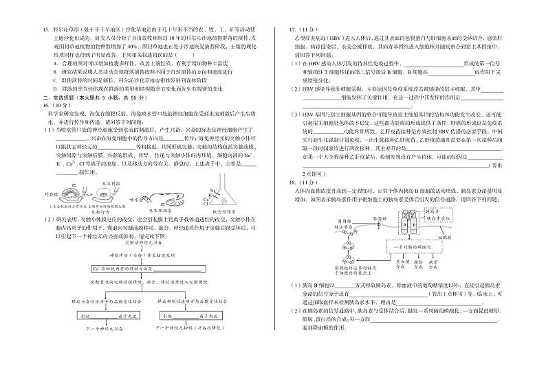 安徽省A10联盟2024-2025学年高二下学期2月开学考试生物试卷(PDF版附解析)第3页