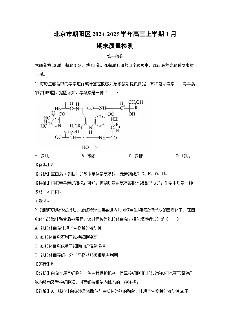北京市朝阳区2024-2025学年高三(上)1月期末质量检测生物试卷(解析版)第1页