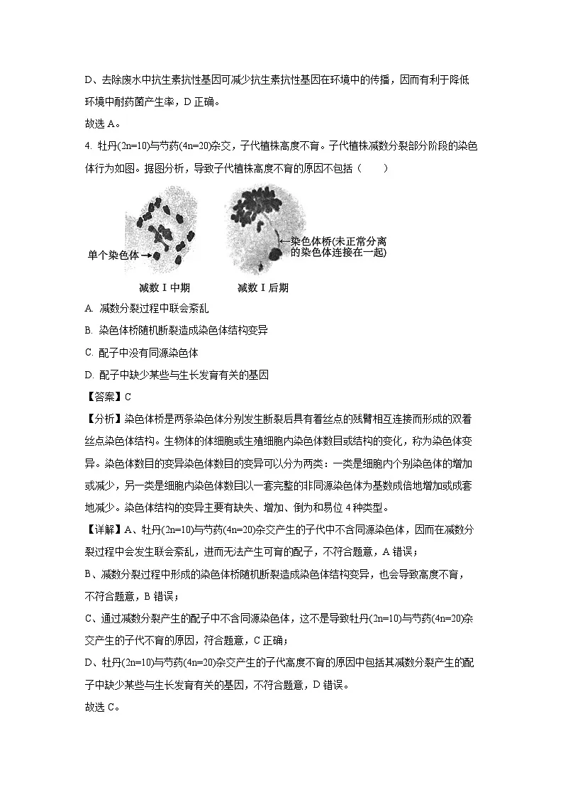 北京市朝阳区2024-2025学年高三(上)1月期末质量检测生物试卷(解析版)第3页