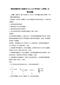 陕西省榆林市八校联考2024-2025学年高一(上)1月期末生物试卷（解析版）