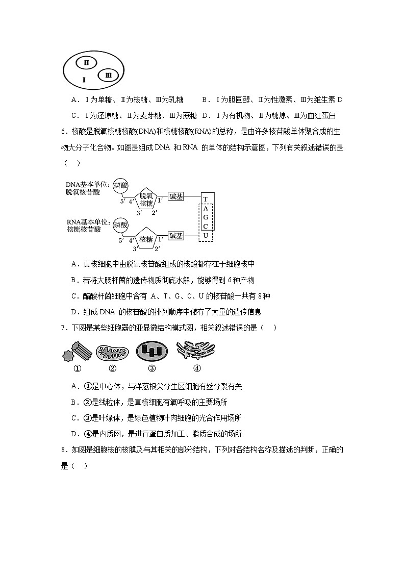 黑龙江省大庆市让胡路区大庆市大庆中学2024-2025学年高一上学期1月期末生物试题第2页
