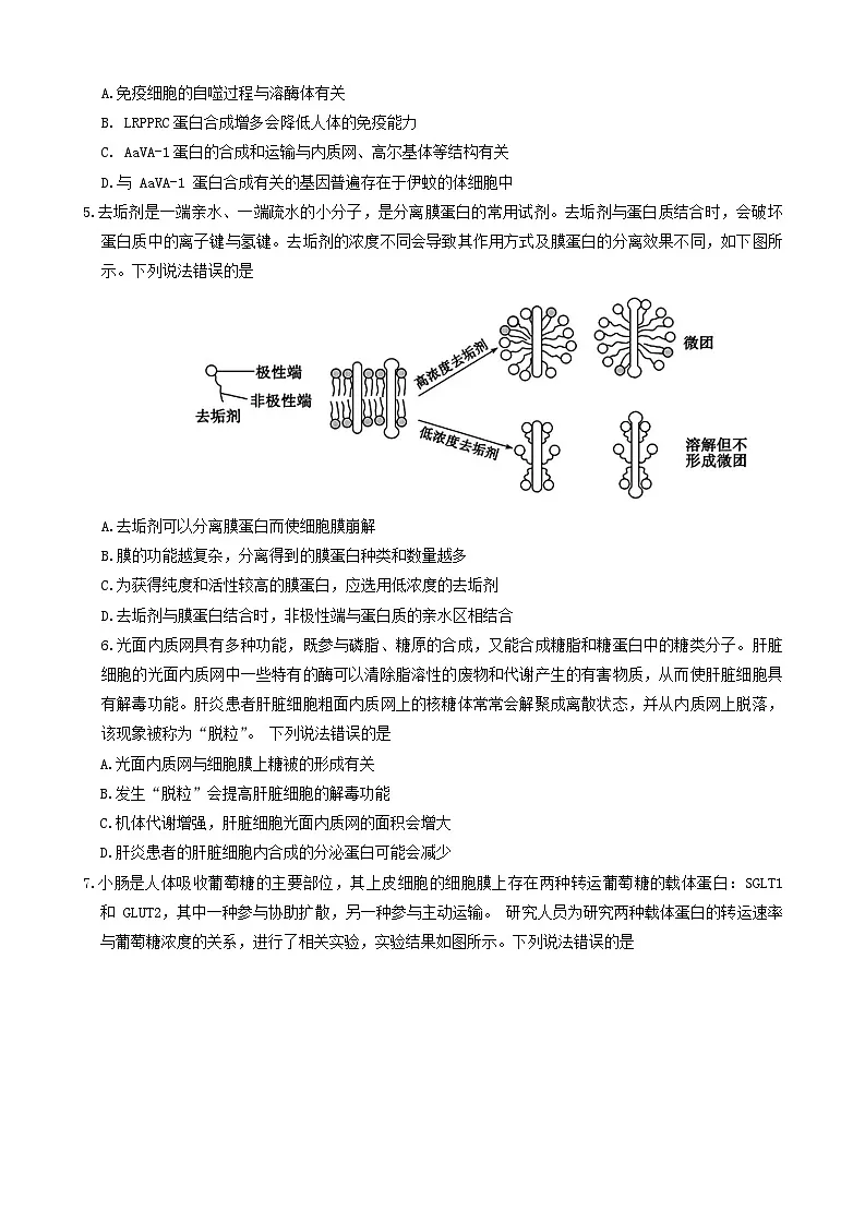 山东省德州市2023_2024学年高一生物上学期期末考试第2页