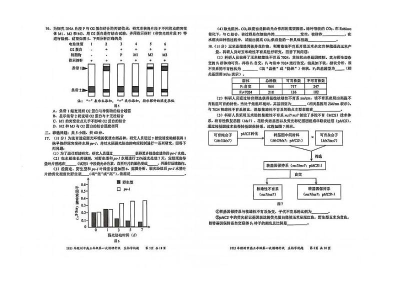 广东省2025年深圳市高三高考模拟第一次模拟-生物试卷+答案第3页
