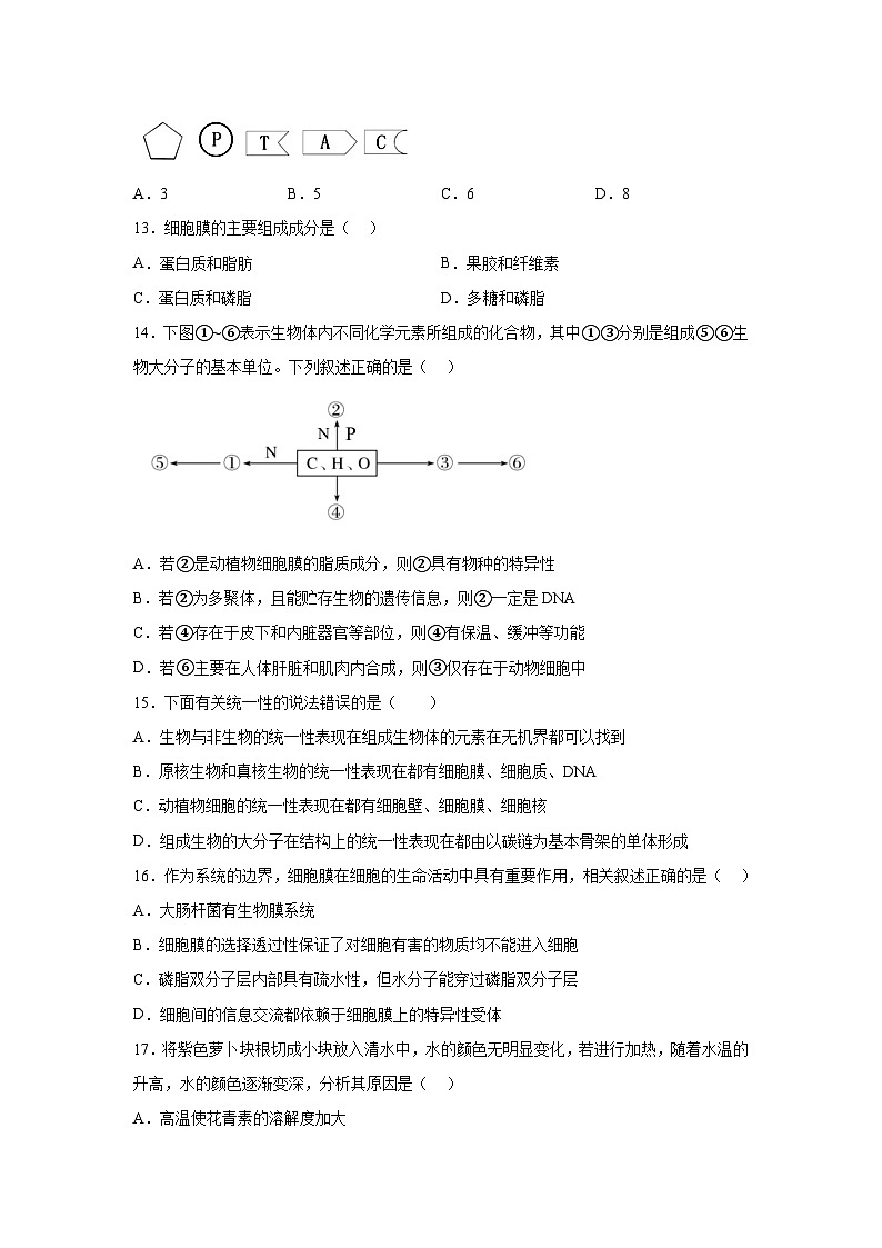 四川省成都外国语学校2024-2025学年高一上学期期末模拟生物试题(Word版附解析)第3页