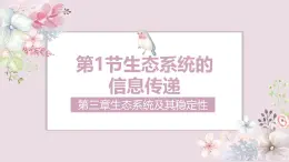 3.4生態(tài)系統(tǒng)的信息傳遞-2024-2025學(xué)年高二生物優(yōu)質(zhì)課件（人教版2019選擇性必修2）