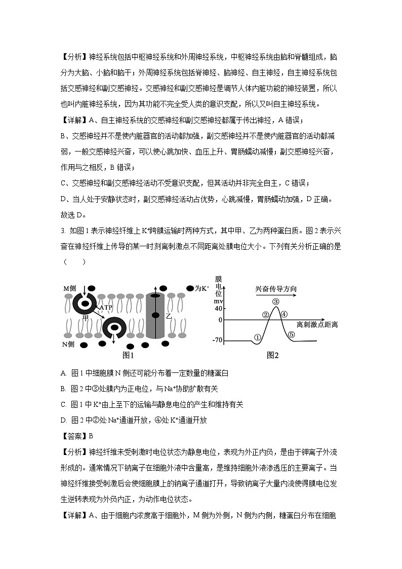 湖南省岳阳市平江县2024-2025学年高二(上)期末考试生物试卷(解析版)第2页