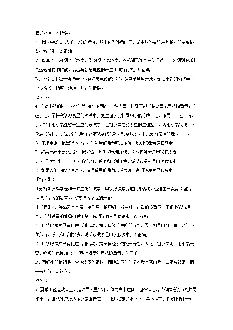 湖南省岳阳市平江县2024-2025学年高二(上)期末考试生物试卷(解析版)第3页
