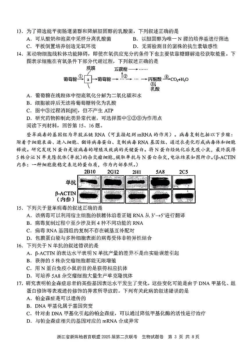 2025年浙江新阵地高三下学期2月生物试卷及答案第3页