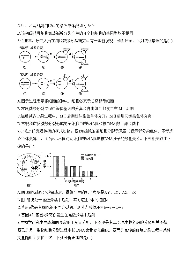 专题5 遗传的细胞学基础(选择题)——2025届高考生物学模块分练【新高考版】(含解析)第3页
