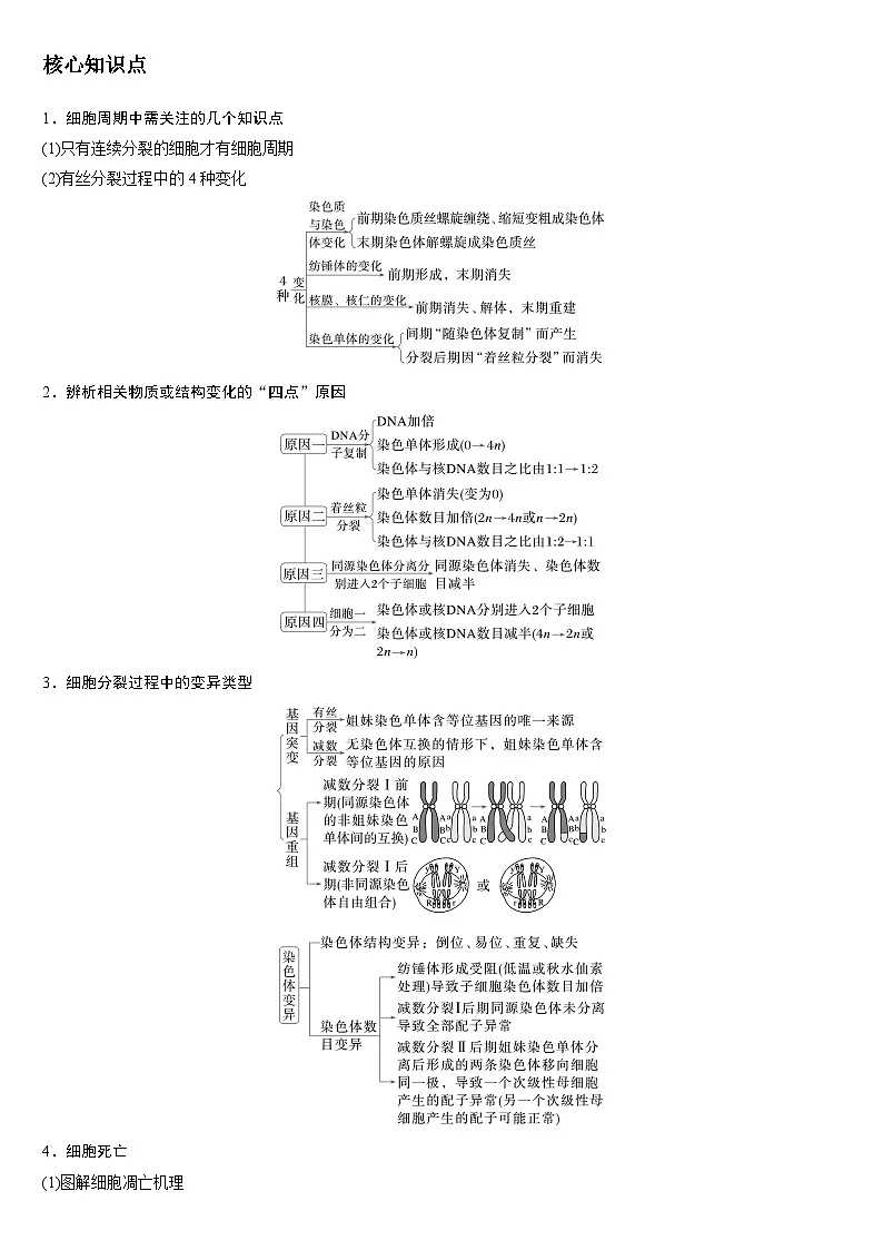 2025高考生物二轮复习微专题讲义:细胞的生命历程第2页