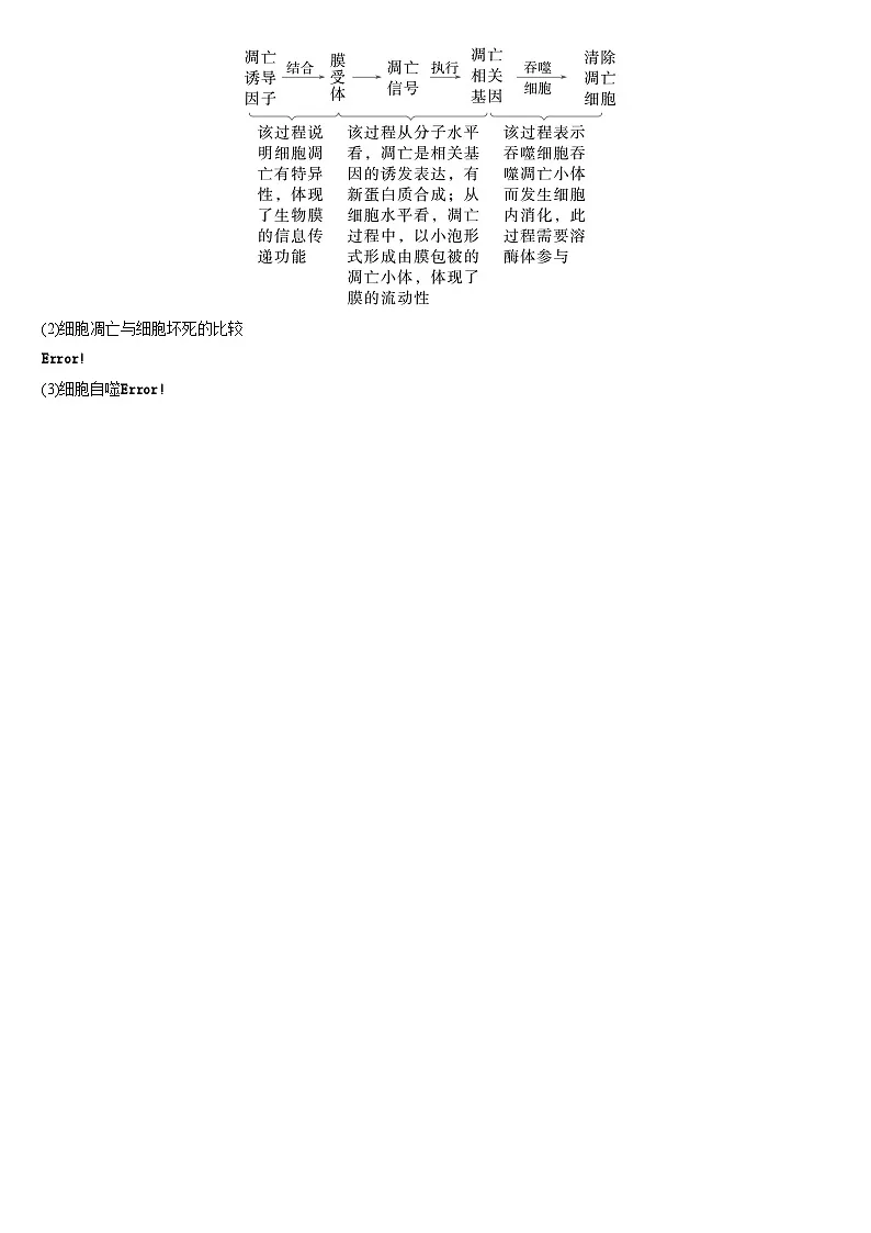 2025高考生物二轮复习微专题讲义:细胞的生命历程第3页