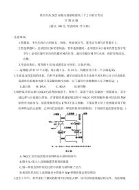重庆拔尖强基联盟2025届高三下学期2月联考-生物试题+答案
