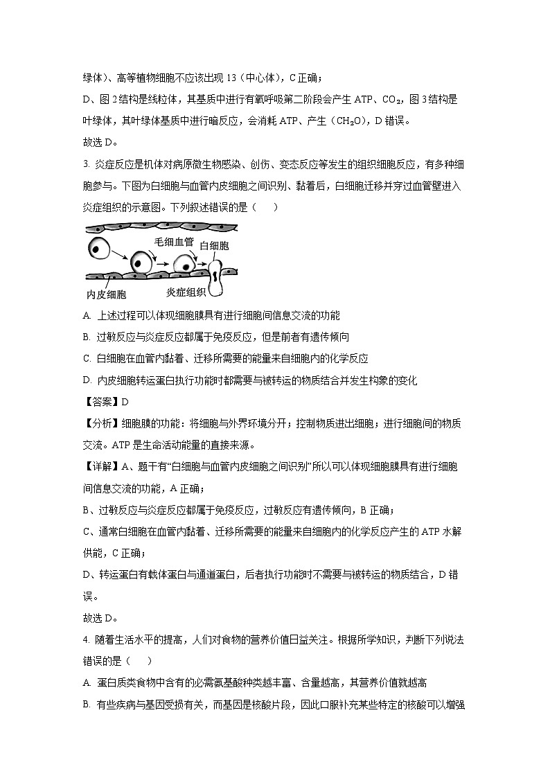 安徽省阜阳市2024~2025学年高三上学期教学质量统测月考生物试卷(解析版)第3页