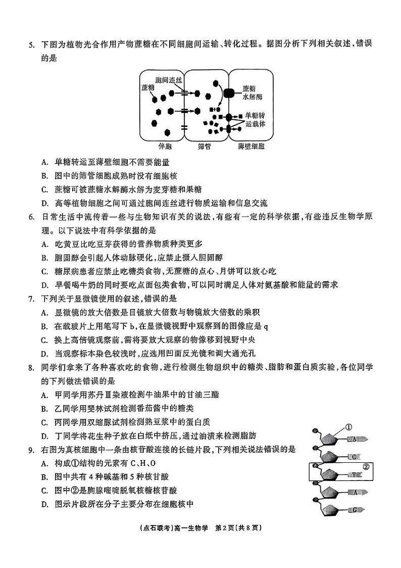 辽宁省凌源市2024-2025学年高一上学期期末考试生物试卷第2页