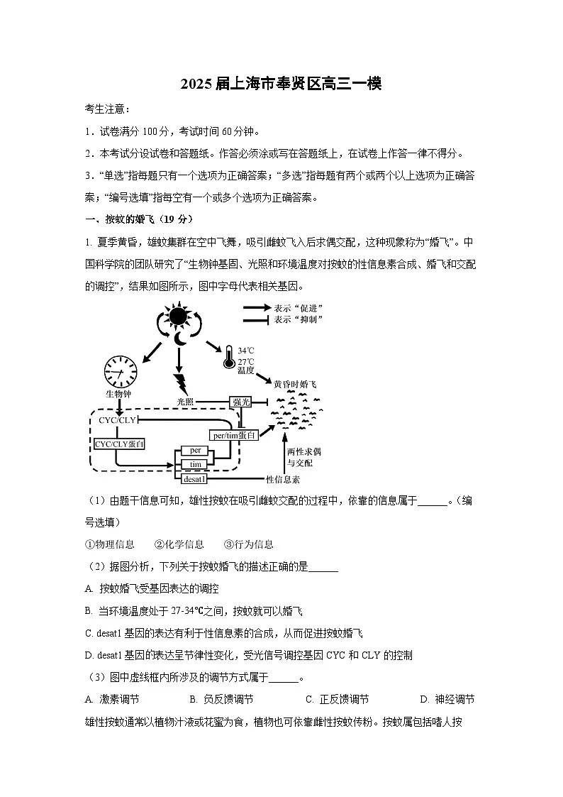 2025届上海市奉贤区高三一模生物试卷(解析版)第1页