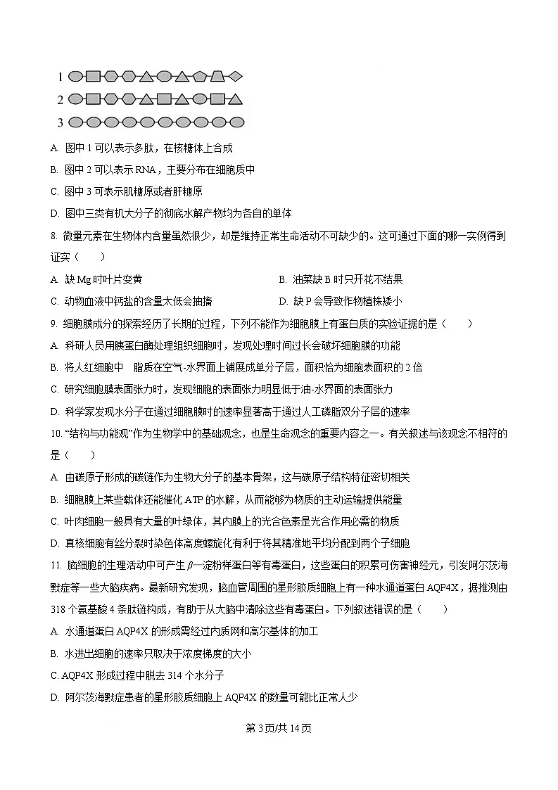 湖南省岳阳市2024-2025学年高一上学期期末考试生物试题(Word版附答案)第3页