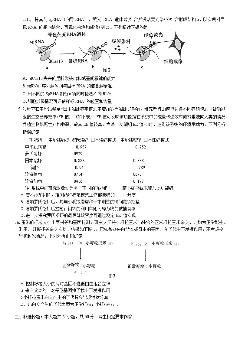 廣東省汕頭市2024-2025學(xué)年高三下學(xué)期第一次模擬考試生物學(xué)試題（含答案）第3頁