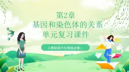 人教版高中生物必修二第2章《基因和染色体的关系》（单元复习课件）