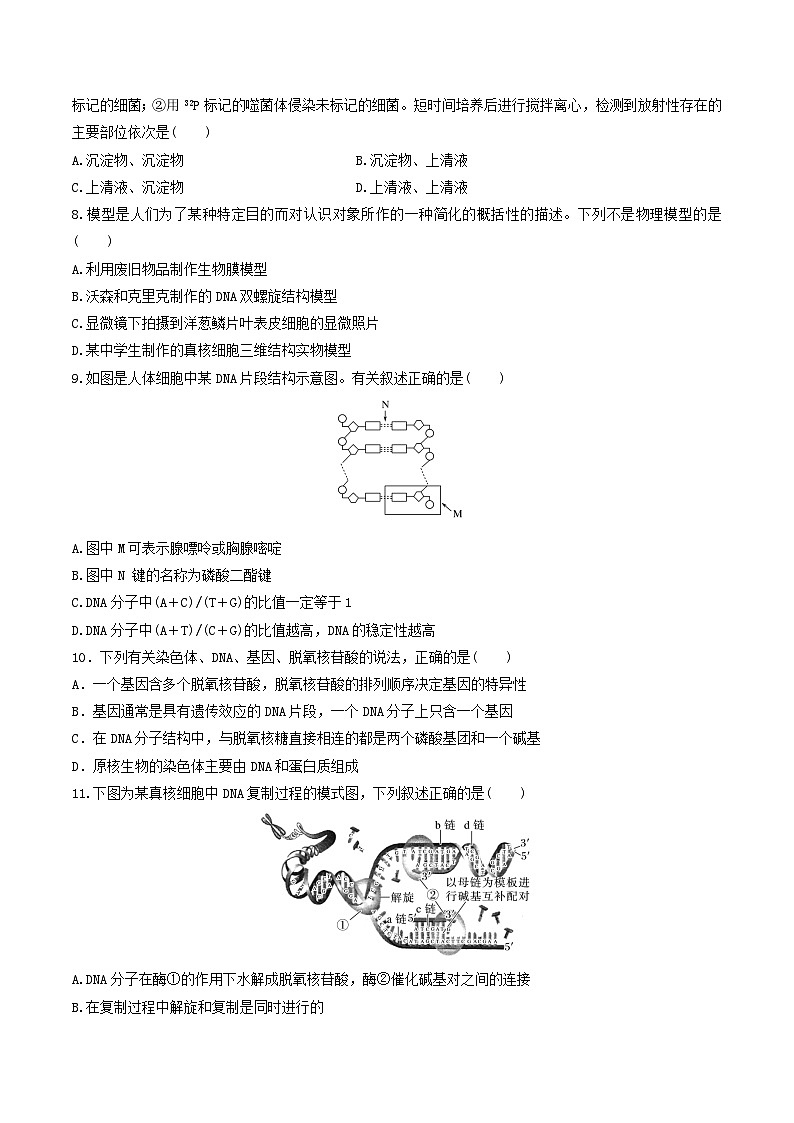 人教版高中生物必修二第3章《基因的本质》(单元检测)(原卷版)第2页