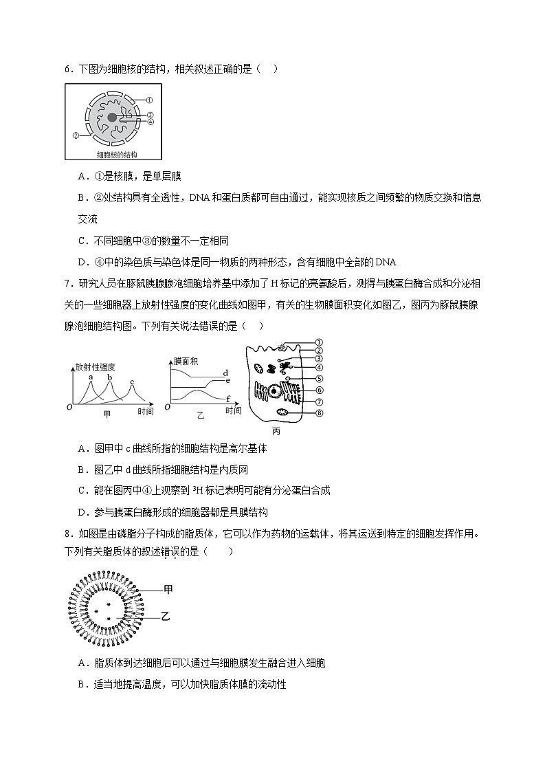 安徽省六安市重点高中2024-2025学年高一上学期1月期末考试生物试题含答案第2页