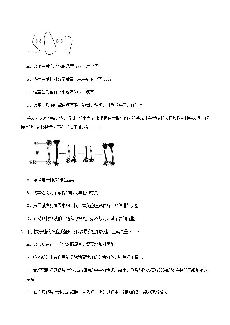 江西省部分重点高中2024-2025学年高一上学期1月期末考试生物试题含答案第2页