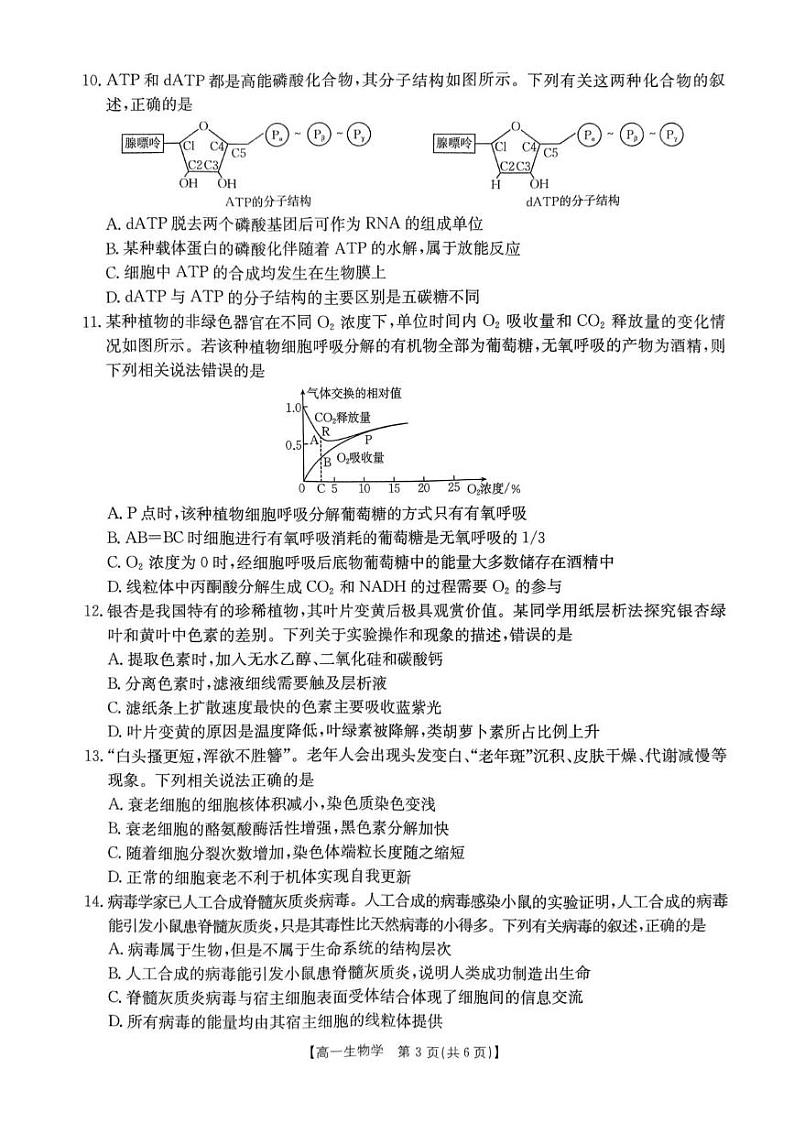河南省名校联盟2024-2025学年高一下学期2月开学考试生物试题含答案第3页